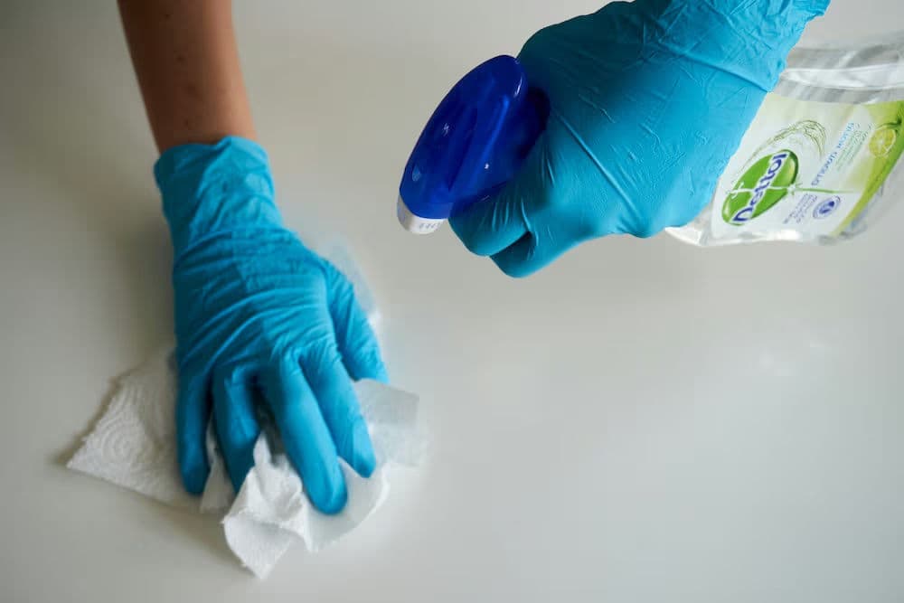 About Immaculate Cleaners
